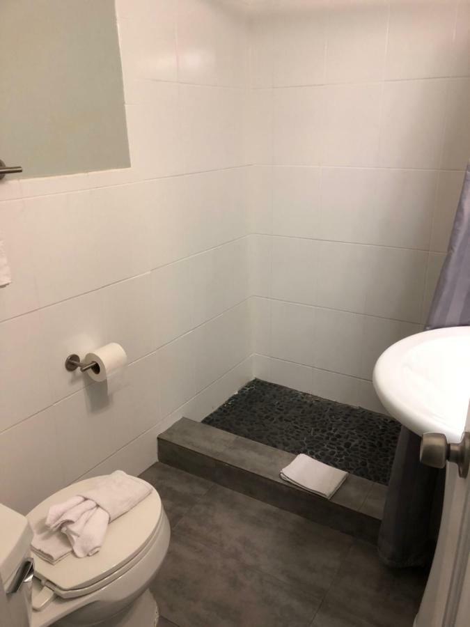 Harding Miami Beach Apartments Dış mekan fotoğraf